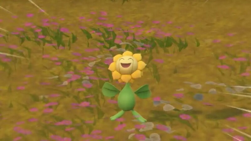 Sunfliora super happy in a field of flowers