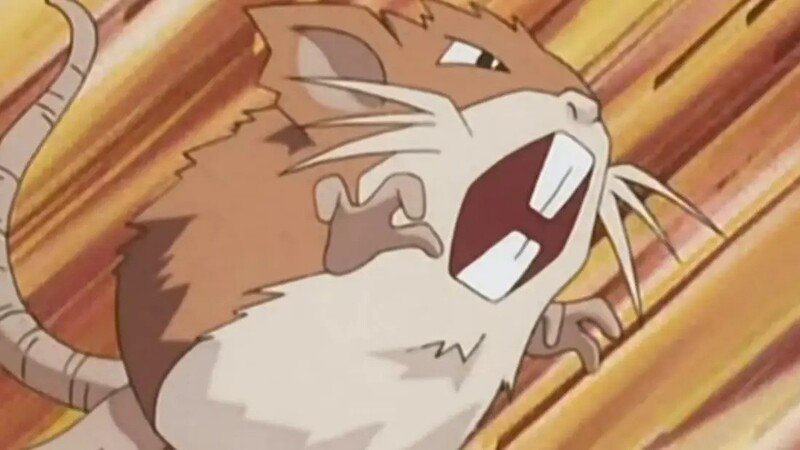 Raticate charging at someone through the air