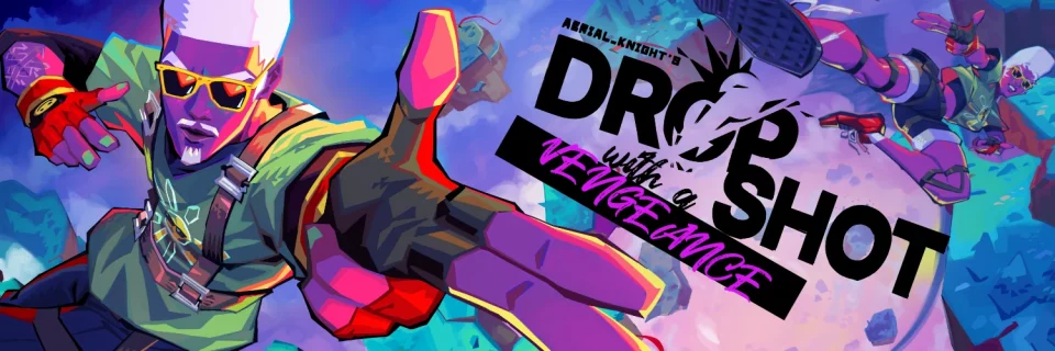 Dropshot cover image